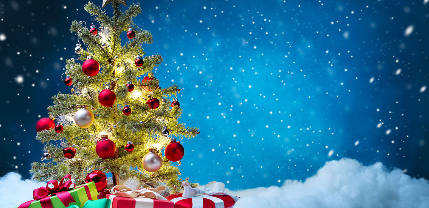 Merry Christmas from Meyertech